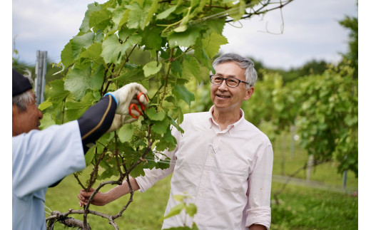 çŠå³¶ã®æµã¿ãå倿¹ã·ãŒãã«ãšã¯ã€ã³ïŒAã»ããïŒãã·ãŒãã«ããã¹ã«ãããã€ãªãŒã750ïœïœãåïŒæ¬ãèšïŒæ¬ãã®ããããåç£ã07208-0099ã