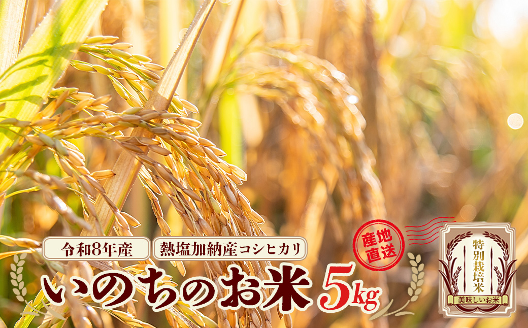 【先行予約】令和8年産　コシヒカリ　いのちのお米　5kg(令和8年11月中旬以降順次発送）　熱塩加納産　雪蔵銀ぴか米　会津　喜多方　【07208-0846】