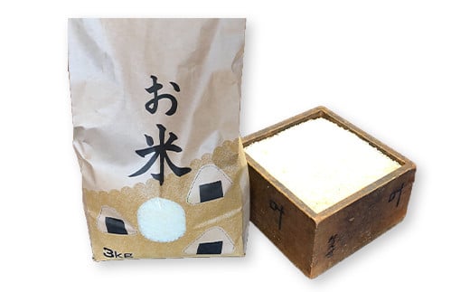 会津発　季節の野菜だより（大）定期便6回　【07208-0264】