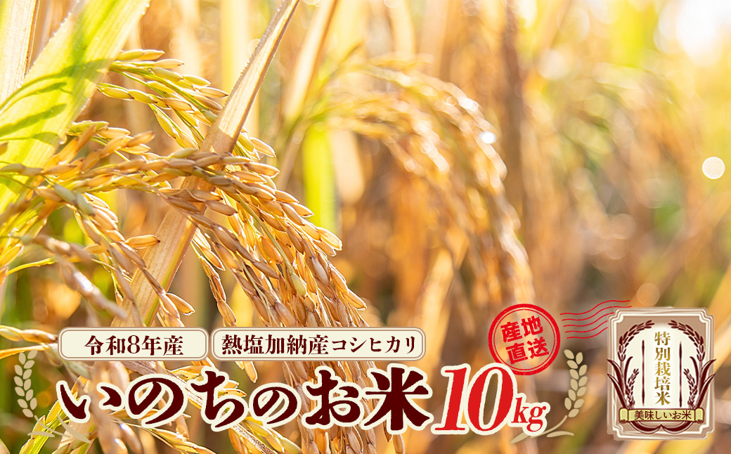 【先行予約】令和8年産　コシヒカリ　いのちのお米　10kg(令和8年11月中旬以降順次発送）　熱塩加納産　雪蔵銀ぴか米　会津　喜多方　【07208-0847】