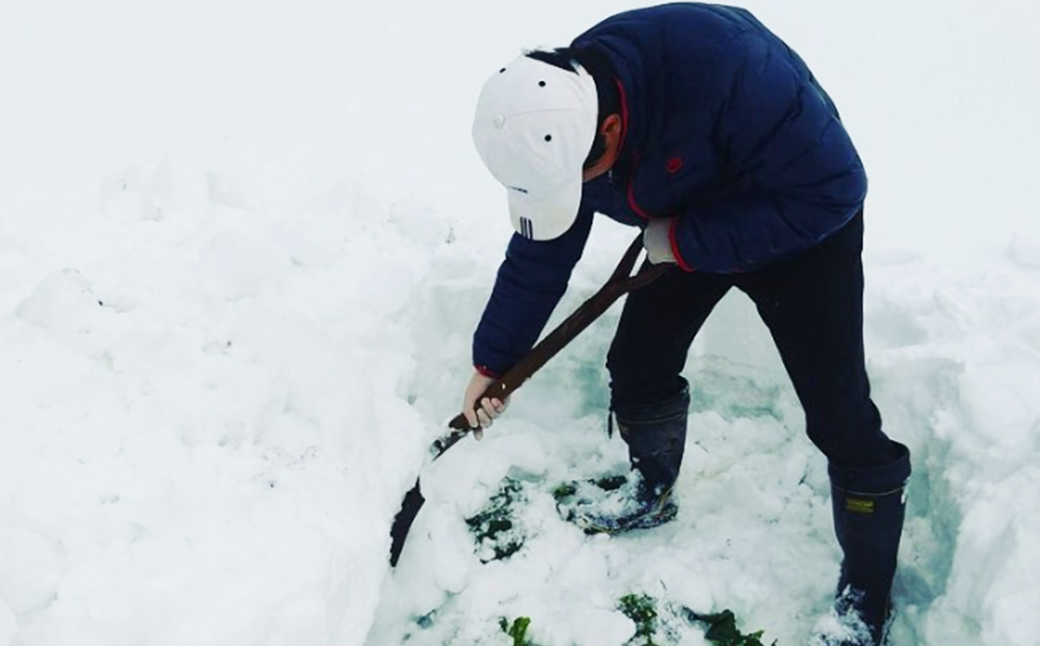 【先行予約】2027年1月中旬より発送！大きな雪下キャベツ約2.5kg×2玉　【07208-0789】