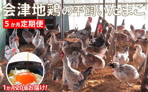 会津地鶏卵定期便（1箱20個）5ヶ月間　【07208-0171】