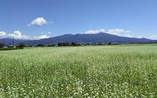 本格蕎麦焼酎「喜多方蕎麦紀行」720ml　(1本)　【07208-0173】