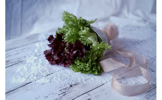 カルシウム&ポリフェノールリッチレタスMix（4袋セット）　【07208-0089】