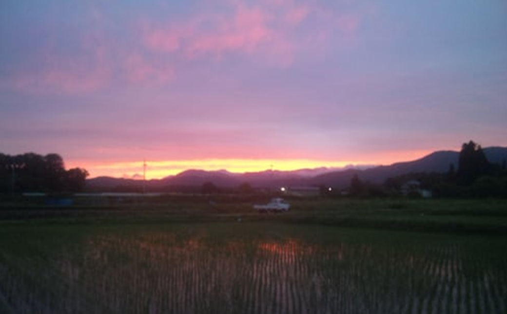 【令和7年産】特別栽培米コシヒカリ　玄米　5kg　6か月定期便(計30kg)　[米・食味分析鑑定コンクール国際大会 特別優秀賞受賞]　【07208-0808】