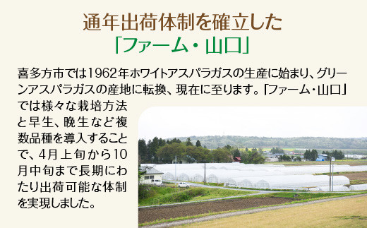 【先行予約】喜多方産　ホワイトアスパラガス　1kg（L～2Lサイズ）　【07208-0630】