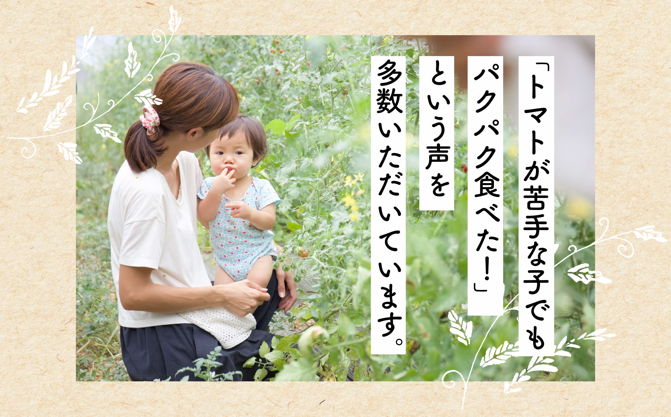 【日本一の栄養価】濃厚！有機ミニトマトの宝石箱1.1kg　【07208-0816】