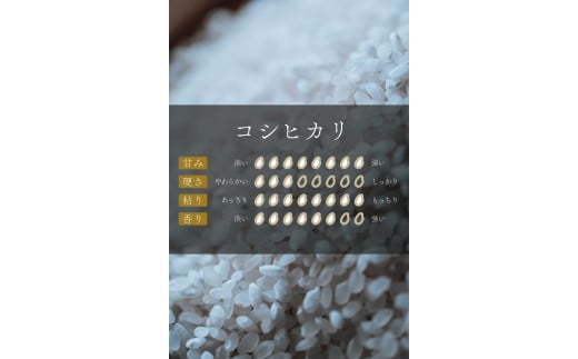 繧ウ繧キ繝偵き繝ェ縲5kgテ暦シ定「九險10kg縲莉、蜥7蟷エ逕」縲莨壽エ・縲蝟懷、壽婿逕」縲07208-0272縲