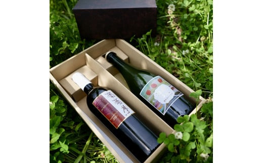 çŠå³¶ã®æµã¿ãå倿¹ã·ãŒãã«ãšã¯ã€ã³ïŒAã»ããïŒãã·ãŒãã«ããã¹ã«ãããã€ãªãŒã750ïœïœãåïŒæ¬ãèšïŒæ¬ãã®ããããåç£ã07208-0099ã