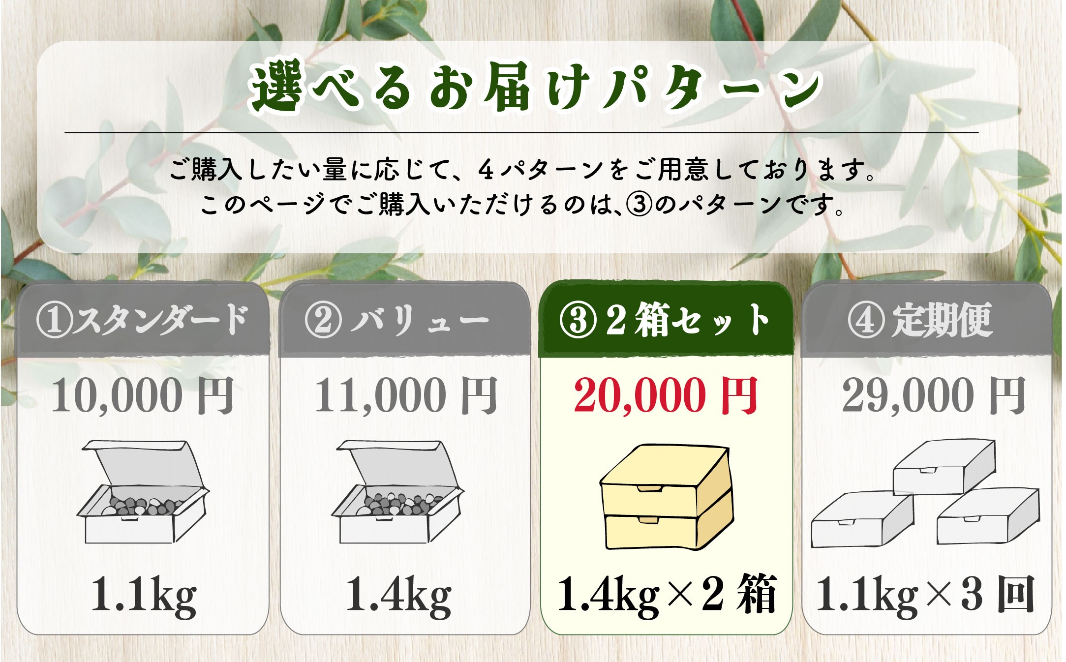 【日本一の栄養価】濃厚！有機ミニトマトの宝石箱1.4㎏×2箱[計2.8kg]　【07208-0818】
