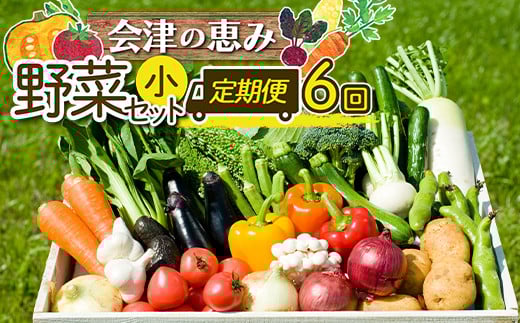 会津発　季節の野菜だより（小）定期便6回　【07208-0261】