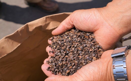 本格蕎麦焼酎「喜多方蕎麦紀行」720ml　(1本)　【07208-0173】