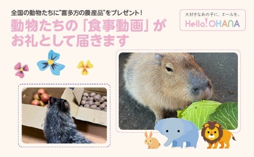 【動物推し活サービス】全国の動物たちに"喜多方の農産品"をプレゼント！?動物たちの「食事動画」がお礼として届きます?　【07208-0728】