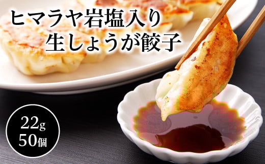 ヒマラヤ岩塩入り生しょうが餃子(22g×50個)　【07208-0283】