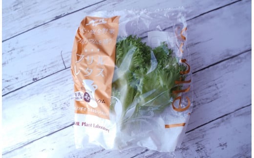 カルシウム&ポリフェノールリッチレタスMix（4袋セット）　【07208-0089】