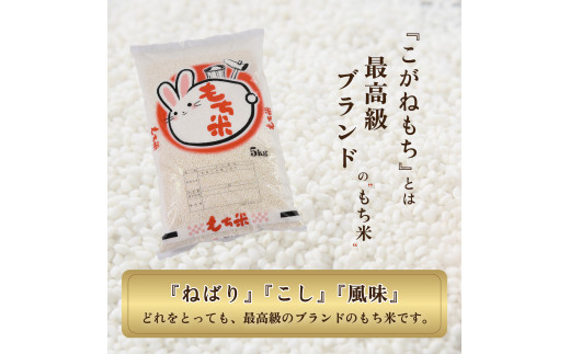 莉、蜥7蟷エ蠎ヲ逕」莨壽エ・蝟懷、壽婿逕」縺薙′縺ュ繧ゅ■5kgテ1陲九縲07208-0351縲