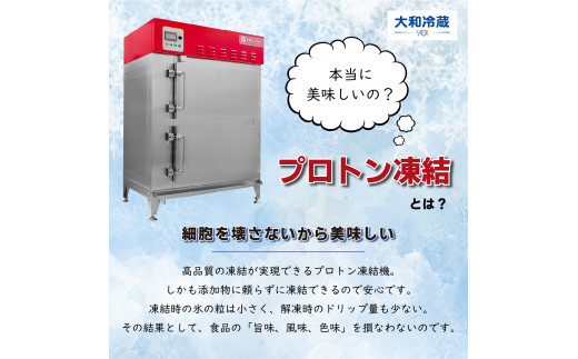 冷凍　手打ちなまそば　８食入　そばつゆ付き　【07208-0306-C】