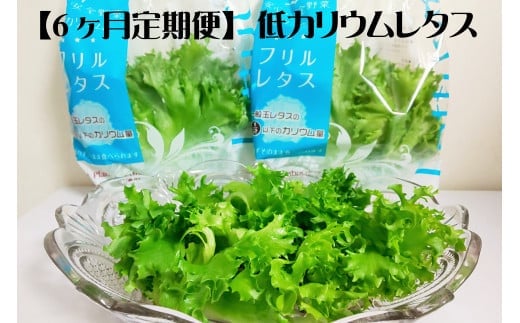 【定期便】低カリウムレタス（毎月6ヶ月お届け）　【07208-0092】