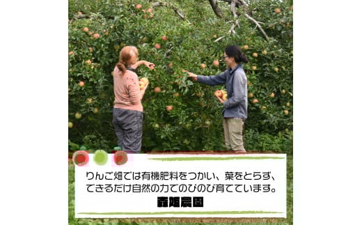 ç¡æ·»å ããããžã¥ãŒã¹ãéªè¶ãã®æ¿ãããŒãã720ïœïœãïŒæ¬ãã¹ãããªã¿ã€ããã200ïœïœãïŒæ¬ãããã¯ã¹ç®±ãèšïŒæ¬ãé£²ã¿æ¯ã¹ãã®ããããåç£ã07208-0200ã