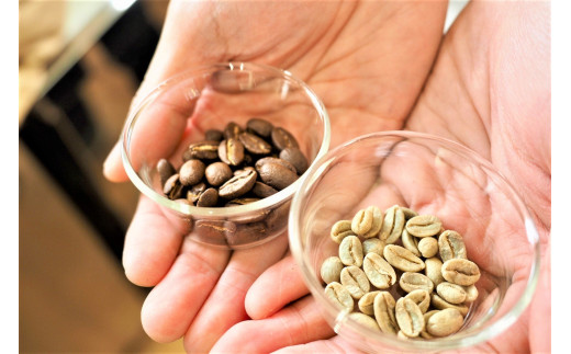 スペシャルティコーヒー　ドリップバッグ６袋　コーヒーバック３袋　計９袋（11ｇ/袋）　ギフト　お土産【07208-0207】