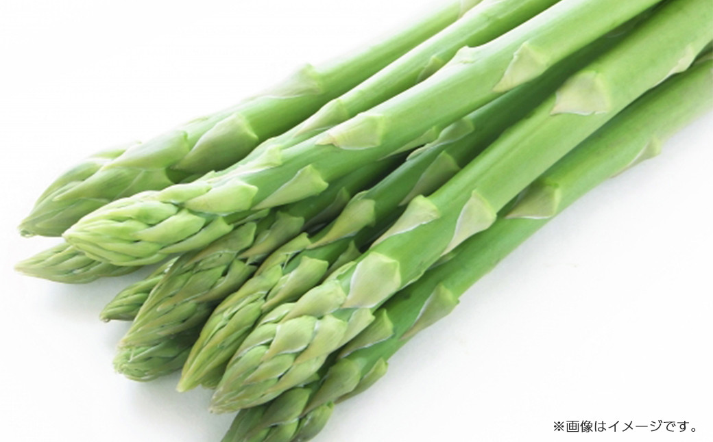 グリーンアスパラガス 1kg（2L、L込）　【07208-0690】