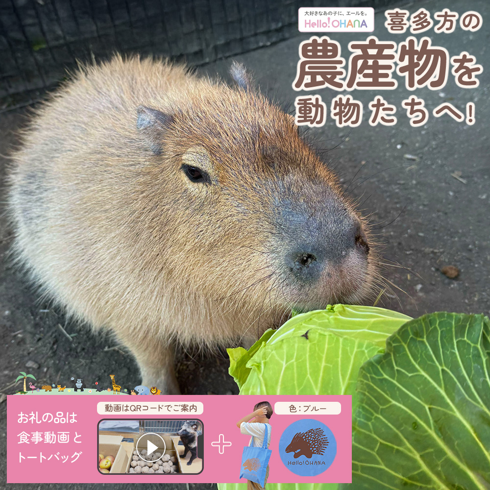 【動物推し活サービス】全国の動物たちに"喜多方の農産品"をプレゼント！〜動物デザインの「食事動画」「トートバッグ」が付いてきます〜　[カラー:ブルー]　【07208-0729-C】