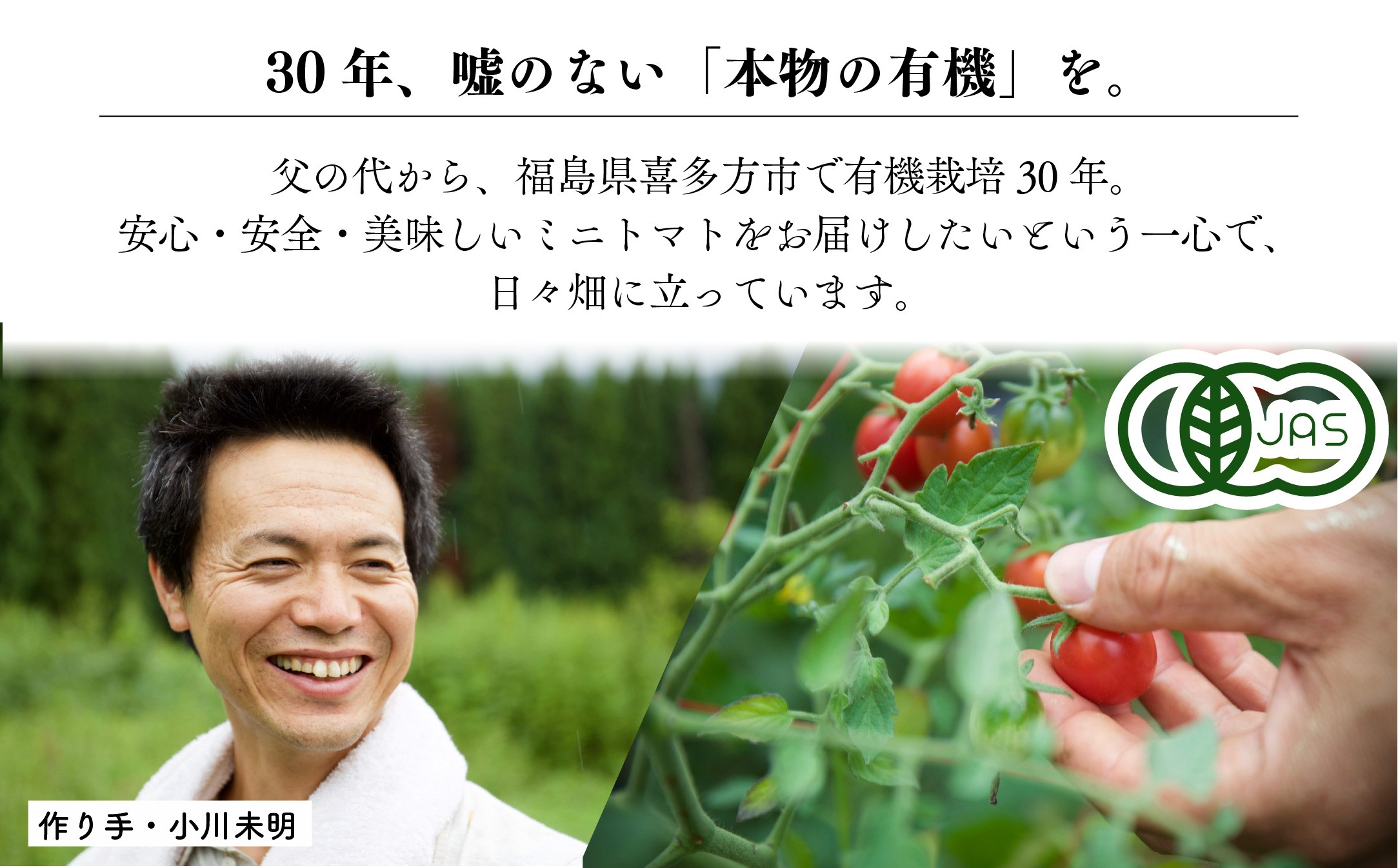 【3か月定期便】【日本一の栄養価】濃厚！有機ミニトマトの宝石箱1.1kg[計3.3kg]　【07208-0819】