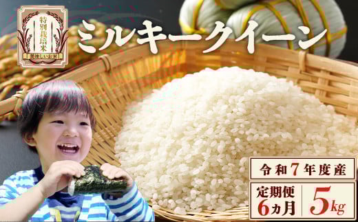【6か月定期便】特別栽培米　ミルキークイーン　5kg　６回　合計　30kg　令和7年産　雪蔵銀ぴか米（令和7年10月14日以降発送）会津　喜多方g 　【07208-0687】