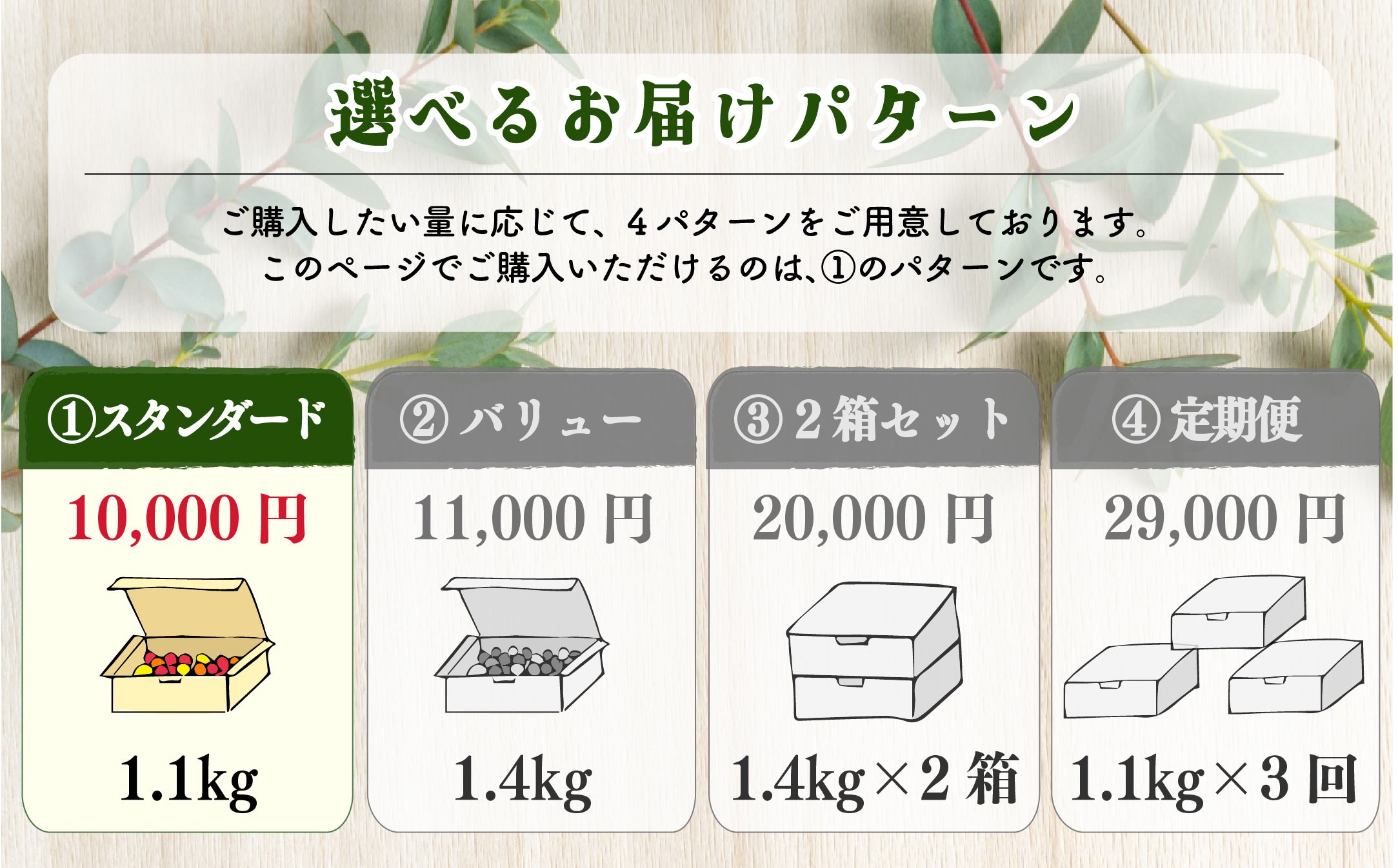 【日本一の栄養価】濃厚！有機ミニトマトの宝石箱1.1kg　【07208-0816】