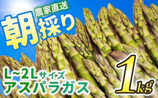 会津産アスパラガス　L〜2Lサイズ　1kg　【07208-0837】