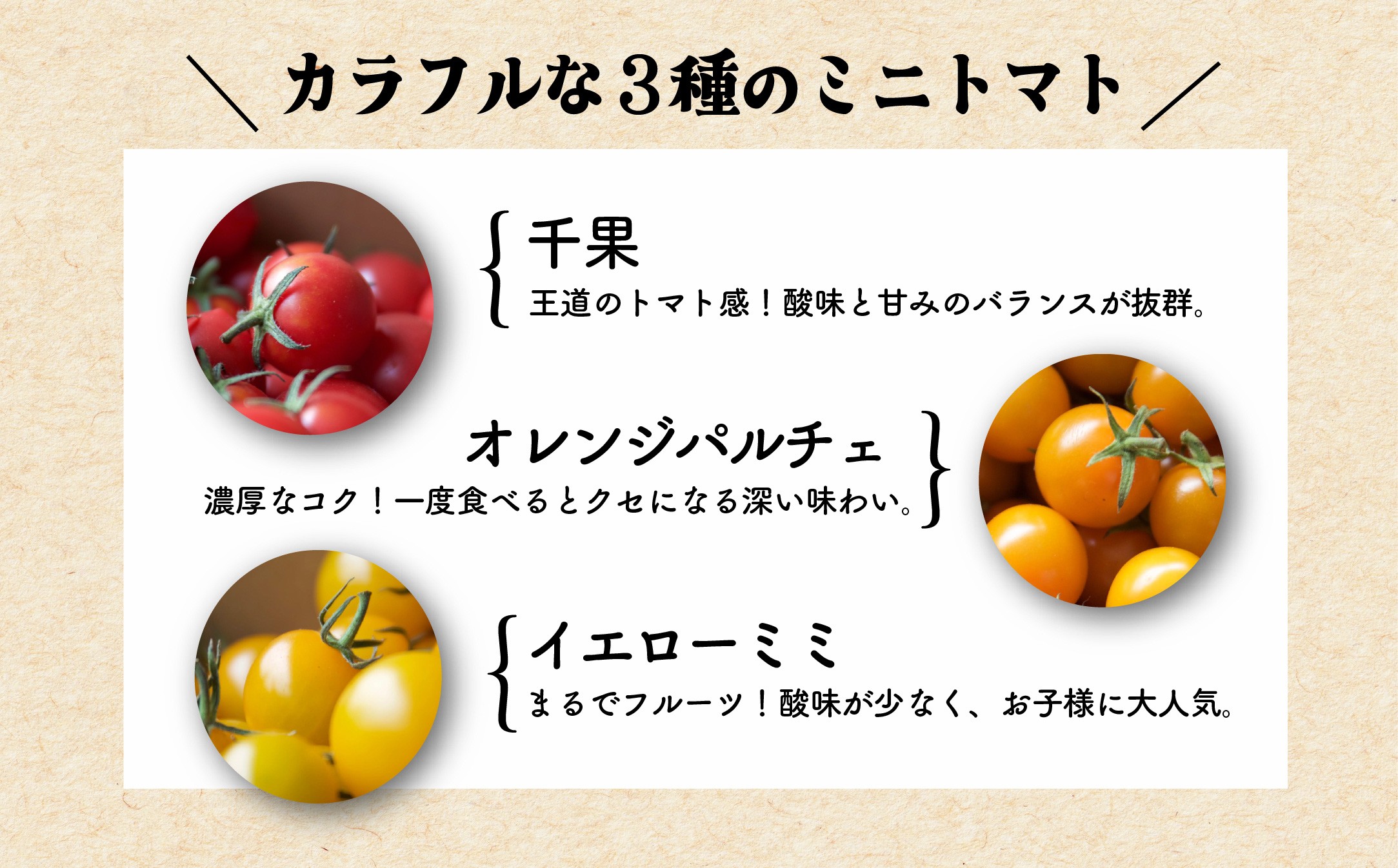 【日本一の栄養価】濃厚！有機ミニトマトの宝石箱1.4㎏×2箱[計2.8kg]　【07208-0818】