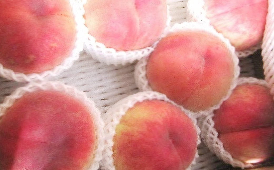 【2026年産 先行予約】2026年もも「あかつき・まどか」2kg　喜多方市産　【07208-0830】