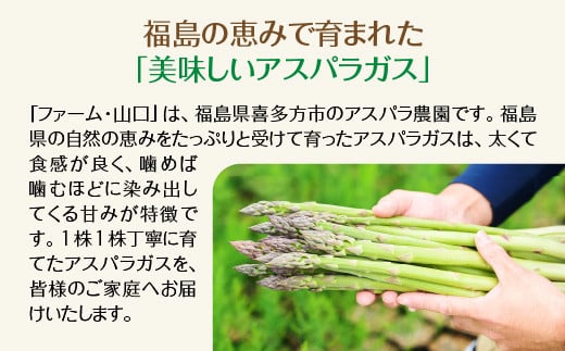 【先行予約】喜多方産　グリーンアスパラガス　1kg（L〜2Lサイズ）　【07208-0629】