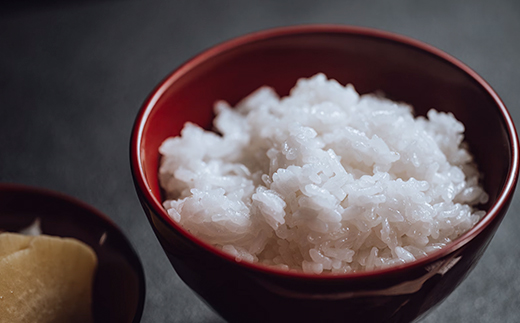 令和7年産 会津喜多方産 にじのきらめき 5kg×2袋 計10kg 【07208-0782】　米 精米 ご飯 会津 喜多方産 喜多方市