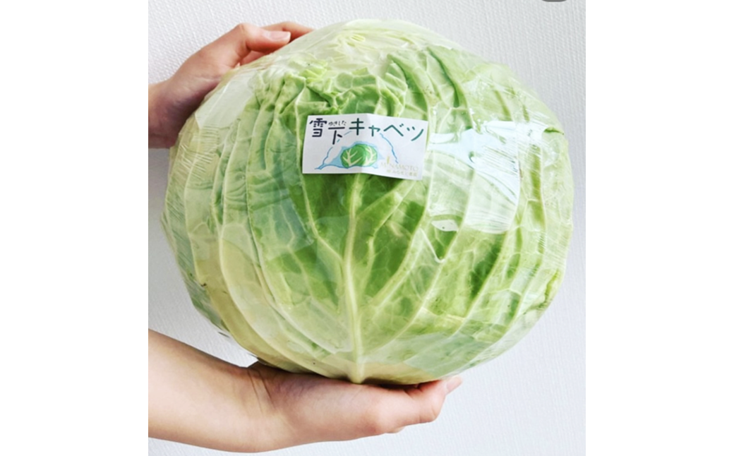 【先行予約】2027年1月中旬より発送！大きな雪下キャベツ約2.5kg×2玉　【07208-0789】