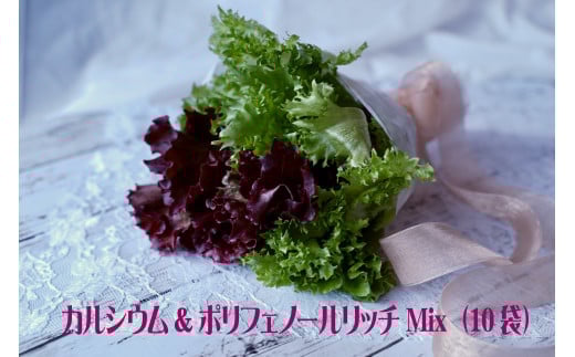 カルシウム&ポリフェノールリッチレタスMix（10袋セット）　【07208-0091】