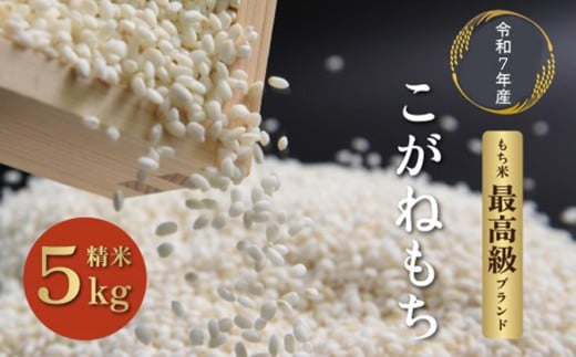 莉、蜥7蟷エ蠎ヲ逕」莨壽エ・蝟懷、壽婿逕」縺薙′縺ュ繧ゅ■5kgテ1陲九縲07208-0351縲
