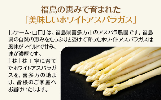 【先行予約】喜多方産　ホワイトアスパラガス　1kg（L～2Lサイズ）　【07208-0630】