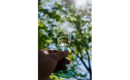 美禄の森(はちみつ酒)　520ｍｌ　ギフト　人気　お土産　グルメ　会津　喜多方【07208-0067】