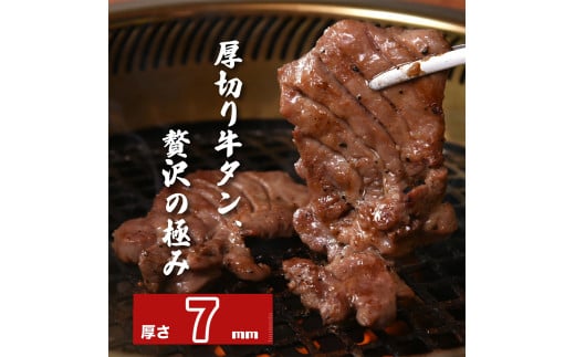 ç¹è£œãååãçãããå¡©å³500gãã07208-0316ã