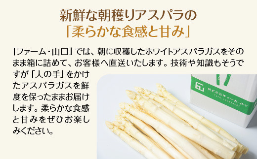 【先行予約】喜多方産　ホワイトアスパラガス　1kg（L～2Lサイズ）　【07208-0630】