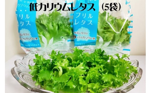 低カリウムレタス（5袋セット）　【07208-0088】