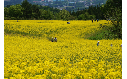 子宝の湯 熱塩温泉 利用券10000円分　【07208-0105】