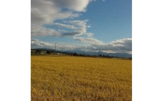 【先行予約】令和8年産　特別栽培米食べ比べセット10kg（ミルキークイーン5kg・コシヒカリ5kg）（令和8年10月中旬以降発送）特別栽培米　ミルキークイーン　コシヒカリ　雪蔵銀ぴか米　会津　喜多方　【07208-0848】