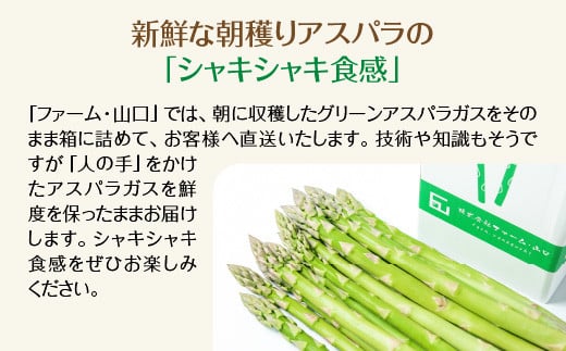 【先行予約】喜多方産　グリーンアスパラガス　1kg（L〜2Lサイズ）　【07208-0629】