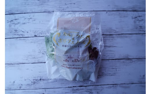 【定期便】カルシウム&ポリフェノールリッチレタスMix（毎月12ヶ月お届け）　【07208-0095】