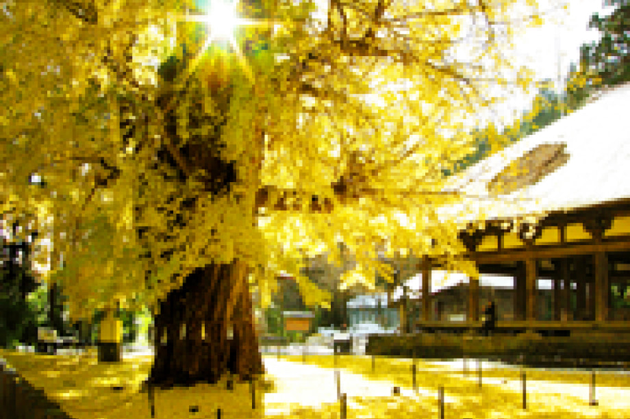 地域の特色を活かした産業づくり事業