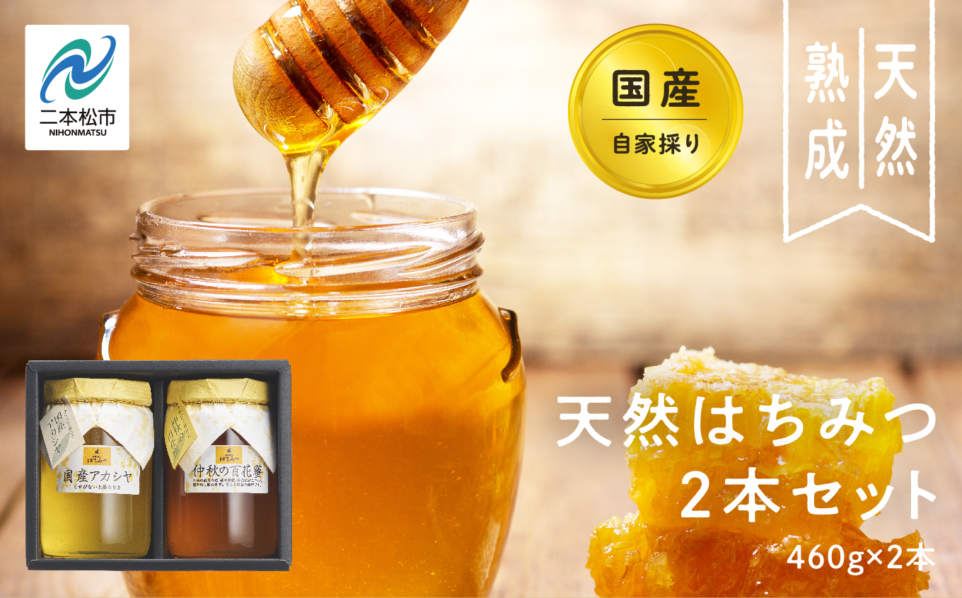 自家採り国産天然はちみつ 2本セット(460g×2) 蜂蜜 はちみつ ハチミツ 国産 アカシヤ アカシア ハニー 天然 無添加 おすすめ お中元 お歳暮 ギフト 二本松市 ふくしま 福島県 送料無料【株式会社渡辺養蜂場】