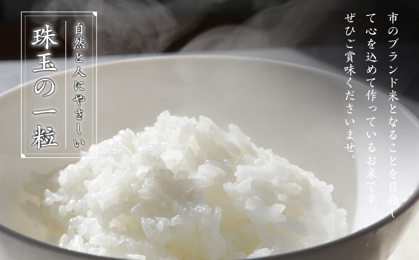 令和7年産 コシヒカリ 二本松十万石米 〜特選〜 精米300g×7袋 米 コシヒカリ こしひかり 令和7年度産 白米 ふっくら 甘い 人気 ランキング おすすめ ギフト 故郷 ふるさと 納税 福島 ふくしま 二本松市 送料無料【株式会社Y&Tカンパニー】