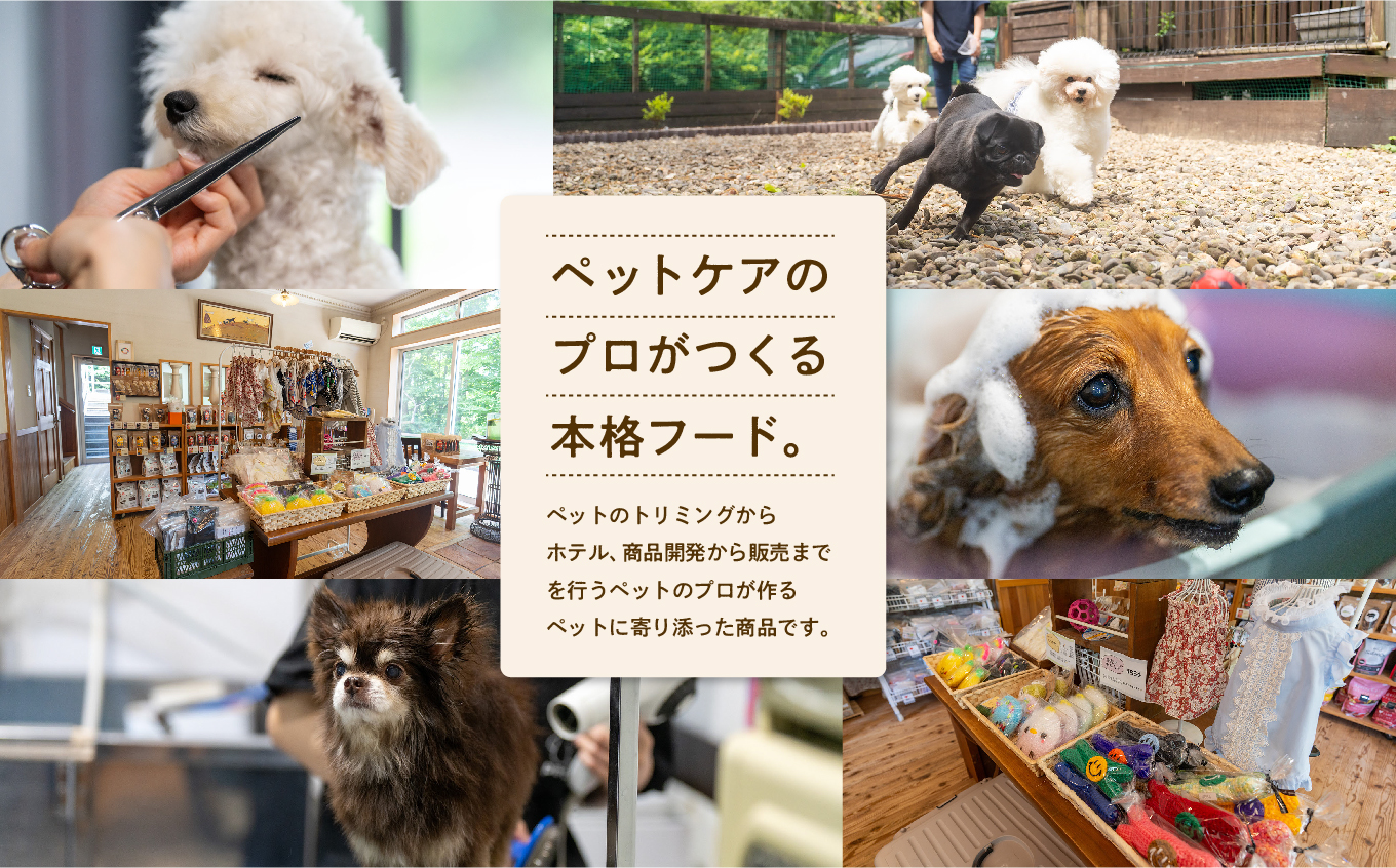 æç¬ãã¯ã4çš® èš8è¢ã»ãã æç¬ ã¯ã³ã¡ãã ãããããŒã ç¬ ãã³ åœç£ ãã〠ããã é¶ è± éé éŠ¬è æäœã ããã°ããŒã ãããã ãäžå
ãæ³æ® ã®ãã äºæ¬æŸåž ãµãã㟠çŠå³¶ç éæç¡æãæ ªåŒäŒç€ŸããŒããªãã¯ã³ã